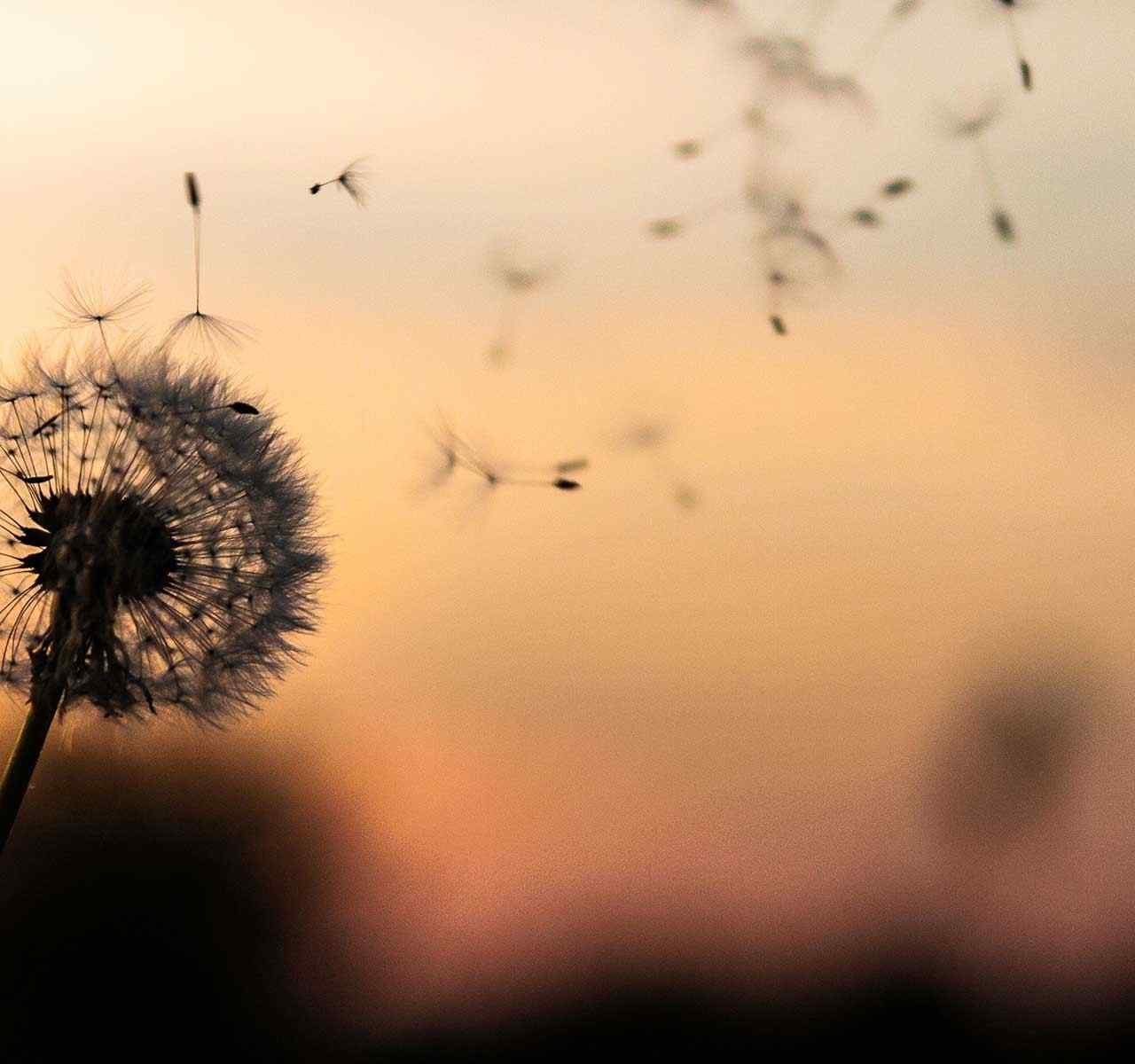 https://bankrotstvo358.ru/wp-content/uploads/2018/09/post_02-1280x1200.jpg