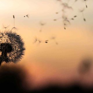 https://bankrotstvo358.ru/wp-content/uploads/2018/09/post_02-320x320.jpg